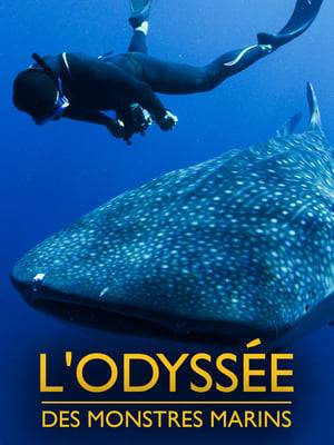 A biographical documentary about the Belgian free-diver Fred Buyle and his art of silent diving.