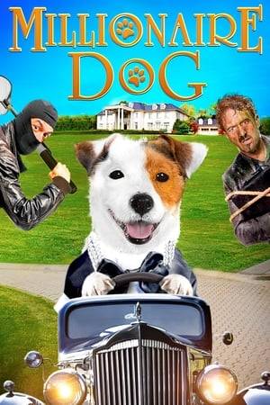 Since he won the lottery, Pancho, a Jack Russell Terrier dog, lives a life full of luxury. His personal assistant manages his fortune. After trying to strike a deal with Pancho to make him become a star of the toy industry, Investor Montalbán will try to kidnap Pancho by any means. Pancho will discover real life dangers, and understand real wealth is in friendship.