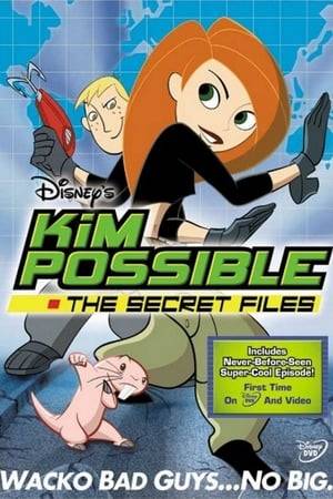 The first video compilation of four episodes of Kim Possible.