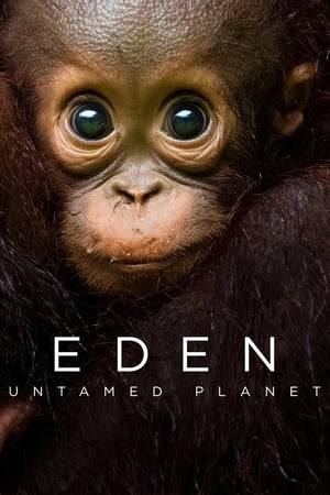 Explore six of the last untouched locations on earth. The documentary series presents life as nature intended, following the unique way wildlife has adapted to these environments and continues to rise to new challenges over the course of a year.