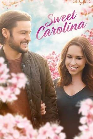 Josie is a successful New York marketing executive who returns to her small hometown. While there, she becomes the unexpected guardian of her niece and nephew and reconnects with Cooper, her high school boyfriend.