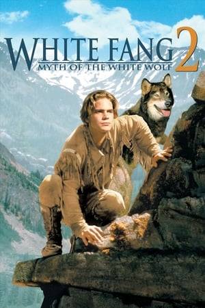 A boy and his dog, White Fang, must try to save the noble Haida tribe from evil white men in turn-of-the-century Alaska.