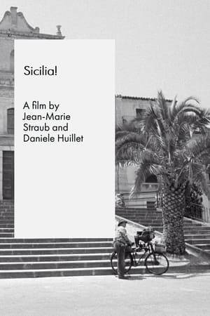 A man returns to visit his native Sicily after living in New York for a long time. He learns about the Sicilian way of life from stylized conversations with an orange picker, his fellow train passengers, his mother, and a knife-sharpener.