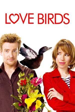 Sometimes the best things in life happen on the fly. From the moment an injured duck crash-lands on Doug's roof, everything changes. Recently dumped and wallowing in self pity, Doug decides to nurse Pierre back to health with the assistance of an eccentric vet and bird specialist, Holly.