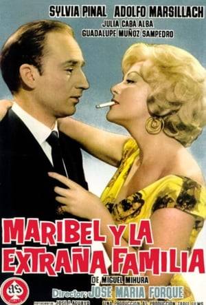 The life of Maribel, a disilluisoned prostitute working the Madrid of 1960, suddenly changes when a simple man that she meets by chance without knowing her profession, decides that she is the woman of her life and that he wants to marry her and to meet his odd family.