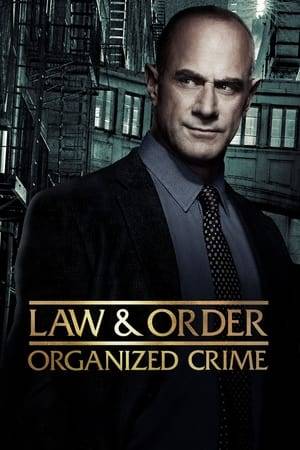 Detective Elliot Stabler returns to the NYPD to battle organized crime after a devastating personal loss. Stabler journeys to find absolution and rebuild his life, while leading a new elite task force that is taking apart the city’s most powerful criminal syndicates one by one.