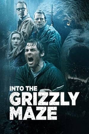 Two estranged brothers reunite at their childhood home in the Alaskan wild. They set out on a two-day hike and are stalked by an unrelenting grizzly bear.