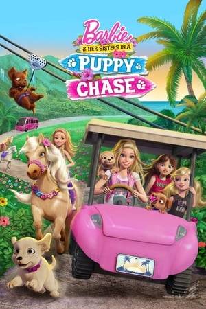 Barbie and her sisters go to an island paradise for a dance competition, but they must work together as a team to find their pets after their furry friends go missing at a horse festival.
