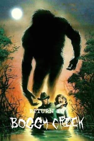 Three children and two adults become trapped in the woods during a hurricane and it is up to a Bigfoot-like creature called 'Big Bay-Ty' to come to their rescue.