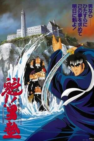 Otokojuku, a private school for juvenile delinquents that were previously expelled from normal schools. At this school, Japanese chivalry is taught through the feudal and military fundamentals. Similar to an action film, the classes are overwhelmed by violence. Only those who survive it become true men. (Animenfo)