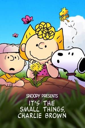 Charlie Brown is determined to win the big baseball game. But things turn into a fiasco right before the matchup, when Sally bonds with a little flower on the pitcher’s mound and vows to protect it at all costs.