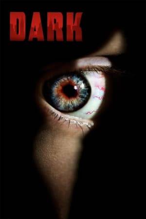A disturbed young woman must confront her worst fears when she finds herself trapped alone in a New York City loft during the 2003 blackout.