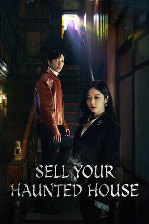 A real estate agent who rids haunted buildings of vengeful ghosts, partners with a con man to solve a 20-year-old case that is close to her heart.