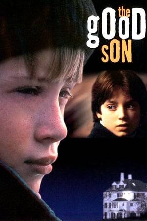 A young boy stays with his aunt and uncle, and befriends his cousin who's the same age. But his cousin begins showing increasing signs of psychotic behavior.