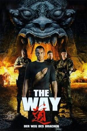 Aleksey is an ordinary young man living in Russia during the 1990s. Like most of his contemporaries, he is looking for a way to survive. The easiest way is the way of crime. He joins a gang. Fortunately, his fate takes a sudden turn and he manages to find the right path. The film also addresses global terrorism, one of the most important and painful issues of today's world. The main characters of the film, together with their American colleagues, take part in a special operation to destroy a band of international terrorists and drug traffickers.