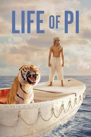 The story of an Indian boy named Pi, a zookeeper's son who finds himself in the company of a hyena, zebra, orangutan, and a Bengal tiger after a shipwreck sets them adrift in the Pacific Ocean.