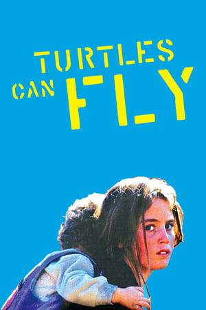 Turtles can fly tells the story of a group of young children near the Turkey-Iran border. They clean up mines and wait for the Saddam regime to fall.