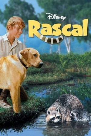 A comedy filled with tenderness as a baby raccoon snuggles his way into the life of a lonely boy. He becomes the boy's only companion during his father's frequent absences. Because of Rascal, both father and son realize their responsibility to each other