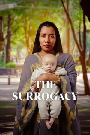 When a woman of humble origins is coerced into surrogacy, she becomes entangled with an affluent family who will protect their reputation at all costs.