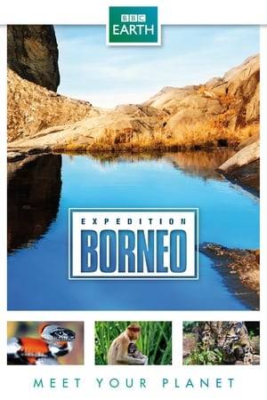 Wildlife adventure series following a team of explorers in the heart of the tropical island of Borneo.
