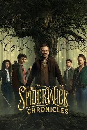 The coming-of-age story of the Grace Family, as they move from New York to Michigan and into their family's ancestral home. Upon arrival, the family not only uncovers mysteries hidden inside their great grandfather's Spiderwick Estate, but also discovers a secret, fantastical world around them.