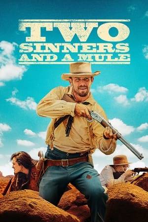 Kicked out of a small Western town for sinful behavior, free-spirited Alice and Nora set out for Virginia City to pursue their dream of opening a restaurant. Out on the prairie, they come across an injured bounty hunter named Elden. Hoping to share in the reward, they nurse Elden back to health and help him stalk his prey, Grimes. But as Nora and Alice both develop feelings for Elden, no one notices that Grimes is now on their tail, and the hunters become the hunted…