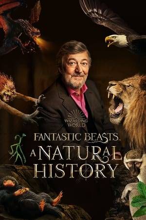 Stephen Fry embarks on a journey to discover the stories behind some of the world's most fantastic beasts that have inspired myths and legends in history, story-telling and film.