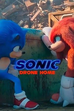 Sonic, Tails, and Knuckles encounter an abandoned Badnik drone which upgraded itself using parts from a junkyard, with the intention of conquering the world.