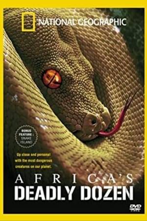 Africa is a continent that conjures up images of bold predators: Lions, cheetahs, hyenas, and jackals. Now National Geographic sets those four-legged giants aside in search of the twelve deadliest snakes in Africa, including the continent’s most lethal serpent.  There are over 400 different species of snakes in Africa, nearly 100 of those are considered dangerous to man. Out of those, 12 stand out.