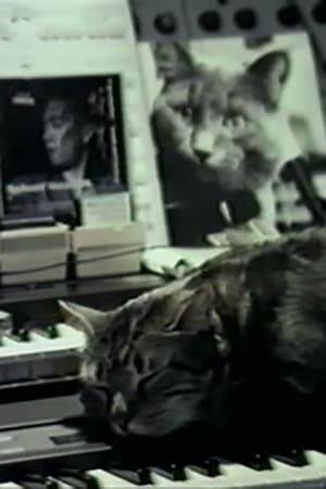 Chris Marker films a cat reacting to the sound of a piano playing.