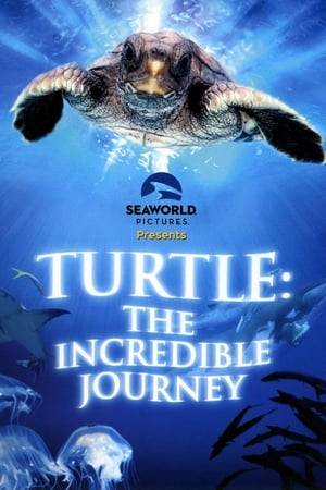 The story of a little loggerhead turtle, as she follows in the path of her ancestors on one of the most extraordinary journeys in the natural world. Born on a beach in Florida, she rides the Gulf Stream up towards the Arctic and ultimately swims around the entire North Atlantic across to Africa and back to the beach where she was born. But the odds are stacked against her; just one in ten thousand turtles survive the journey.