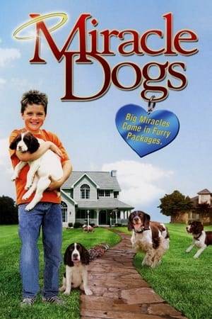 The family friendly animal movie Miracle Dogs concerns a boy who befriends a three-legged dog. Soon his relationship with the canine deepens to the point that the boy is attempting to find new homes for a variety of homeless animals.