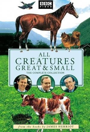 All Creatures Great and Small is a British television series, based on the books of the British veterinary surgeon Alf Wight, who wrote under the pseudonym James Herriot. Ninety episodes were aired over two three-year runs. The first run was based directly on Herriot's books; the second was filmed with original scripts.