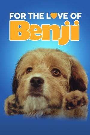 Benji gets lost after a flight overseas and becomes a stray in Athens, Greece. He then tries everyday to reunite with his family while mysterious people pursue him, in a race to get a code which was secretly tattooed on his paw at the airport. But who are the bad guys and who are the agents that can be trusted? Will Benji and his kids and their nanny ever get to enjoy their vacation?