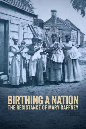 Birthing A Nation: The Resistance of Mary Gaffney explores the story of forced reproduction in the antebellum South and reveals the agency of Mary Gaffney, an enslaved woman who takes control of her body and fertility.