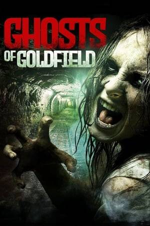 A group of five led by Julie set up their filming equipment in the hotel of the derelict town of Goldfield, hoping to capture footage of the ghost of Elisabeth Walker, a maid tortured and killed in room 109. Troubled by visions, Julie discovers that a necklace, handed down to her from her grandmother, is somehow connecting her to this tragedy.