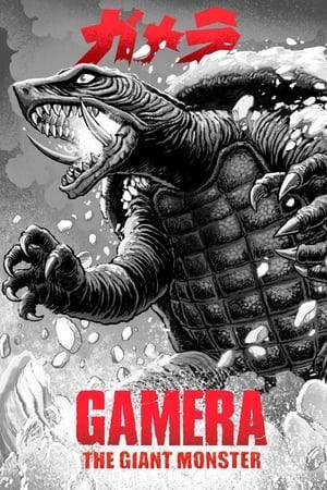 A nuclear explosion in the far north unleashes Gamera, the legendary flying turtle, from his sleep under the ice. In his search for energy, Gamera wreaks havoc over the entire world, and it's up to the scientists, assisted by a young boy with a strange sympathic link to the monster, to put a stop to Gamera's rampage.