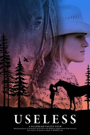 When her mother dies tragically in a car accident, 17-year-old Jessie is taken in by her aunt and uncle, in Western Montana. She finds herself in a new school, with the unexpected attention of a cocky bull rider- and an almost impossible need to hold on to the one connection she has with her mother: barrel racing. Doing anything she can to get around horses, Jessie does not give up on her dream, despite not having a horse of her own. But when her Uncle Mick finds a deal on a cutting horse that has been deemed useless, Jessie finds a new hope in life, and the chance at barrel racing she's been needing.