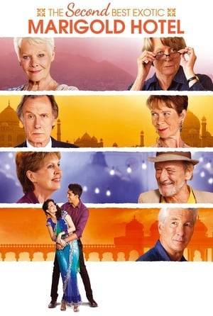 As the Best Exotic Marigold Hotel has only a single remaining vacancy - posing a rooming predicament for two fresh arrivals - Sonny pursues his expansionist dream of opening a second hotel.