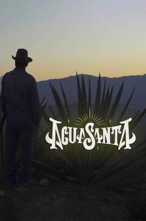 Agua Santa brings to light the melting pot of flavors, regional cultures and unmissable places that to the amazement of all we must know. Under the motto that you cannot love what you do not admire, we expose the precious, diverse and brilliant tradition.