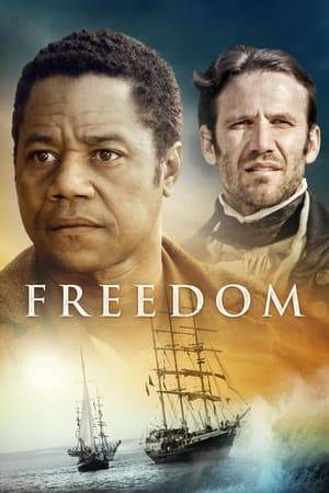 Two men separated by 100 years are united in their search for freedom. In 1856 a slave, Samuel Woodward and his family, escape from the Monroe Plantation near Richmond, Virginia. A secret network of ordinary people known as the Underground Railroad guide the family on their journey north to Canada. They are relentlessly pursued by the notorious slave hunter Plimpton. Hunted like a dog and haunted by the unthinkable suffering he and his forbears have endured, Samuel is forced to decide between revenge or freedom. 100 years earlier in 1748, John Newton the Captain of a slave trader sails from Africa with a cargo of slaves, bound for America. On board is Samuel's great grandfather whose survival is tied to the fate of Captain Newton. The voyage changes Newton's life forever and he creates a legacy that will inspire Samuel and the lives of millions for generations to come.