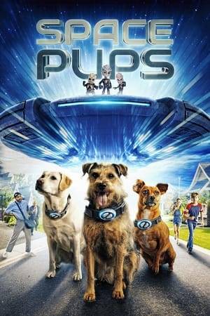 Two young children and their parents help a trio of aliens transformed as friendly dogs to escape the clutches of a local UFO hunter as they repair their spaceship.