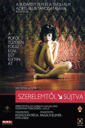 Eva Kerezkes is a young woman who lives alone in her apartment. After her parents' death, she was adopted by writer Tibor and his wife, Klara. Upon returning from a holiday in Italy, Eva performs various tasks around her apartment that reveal haunting information about her past sexual relationship with Tibor.