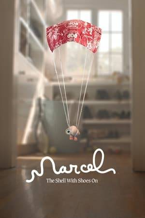 Marcel is an adorable one-inch-tall shell who ekes out a colorful existence with his grandmother Connie and their pet lint, Alan. Once part of a sprawling community of shells, they now live alone as the sole survivors of a mysterious tragedy. But when a documentary filmmaker discovers them amongst the clutter of his Airbnb, the short film he posts online brings Marcel millions of passionate fans, as well as unprecedented dangers and a new hope at finding his long-lost family.