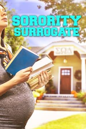 A surrogate mother faces an uncertain future when the couple who hires her dies in an accident.