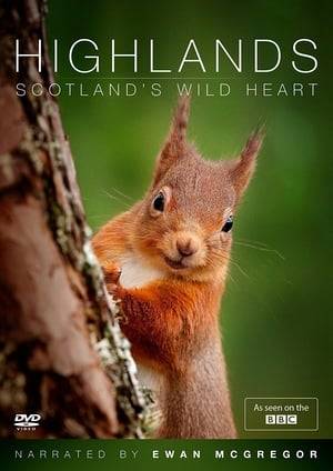 In the North of Scotland, far from bustling cities and gentle hills of the South, lies Europe's greatest wilderness – the Highlands of Scotland. Scoured by ice and weathered by storms, it may look bleak and lifeless, but wildlife is thriving in this unforgiving place, if you know where to look! In this stunning four-part series, narrated by Ewan McGregor, we meet ospreys, red squirrels, otters, dolphin and golden eagles – all struggling to turn adversity to their advantage and make a success of living in Scotland's living Wild Heart.