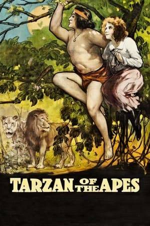 A female ape takes to mothering the orphaned boy (Tarzan) and raises him over the course of many years until a rescue mission is finally launched and the search party combs the jungle for the long-time missing Lord Greystoke. But then, one of the search members, Jane Porter, gets separated from the group and comes face to face with fearsome wild animals. Tarzan saves her from harm just in the knick of time and love begins to blossom.