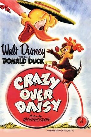 It's the 1890's, and Donald is riding his penny-farthing bicycle to see Daisy when Chip 'n Dale make fun of him. It quickly escalates into a full-fledged war between Donald and the chipmunks.