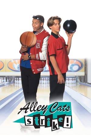 A group of hip retro teenage outsiders become involved in an interschool bowling rivalry.