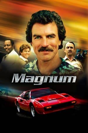 A private investigator who works when he wants, lives in a beachfront estate in Hawaii, drives a posh Ferrari, runs up an unlimited tab at a swank bar, and charms attractive women in peril - that's the lifestyle of Thomas Magnum, aka Magnum, P.I.